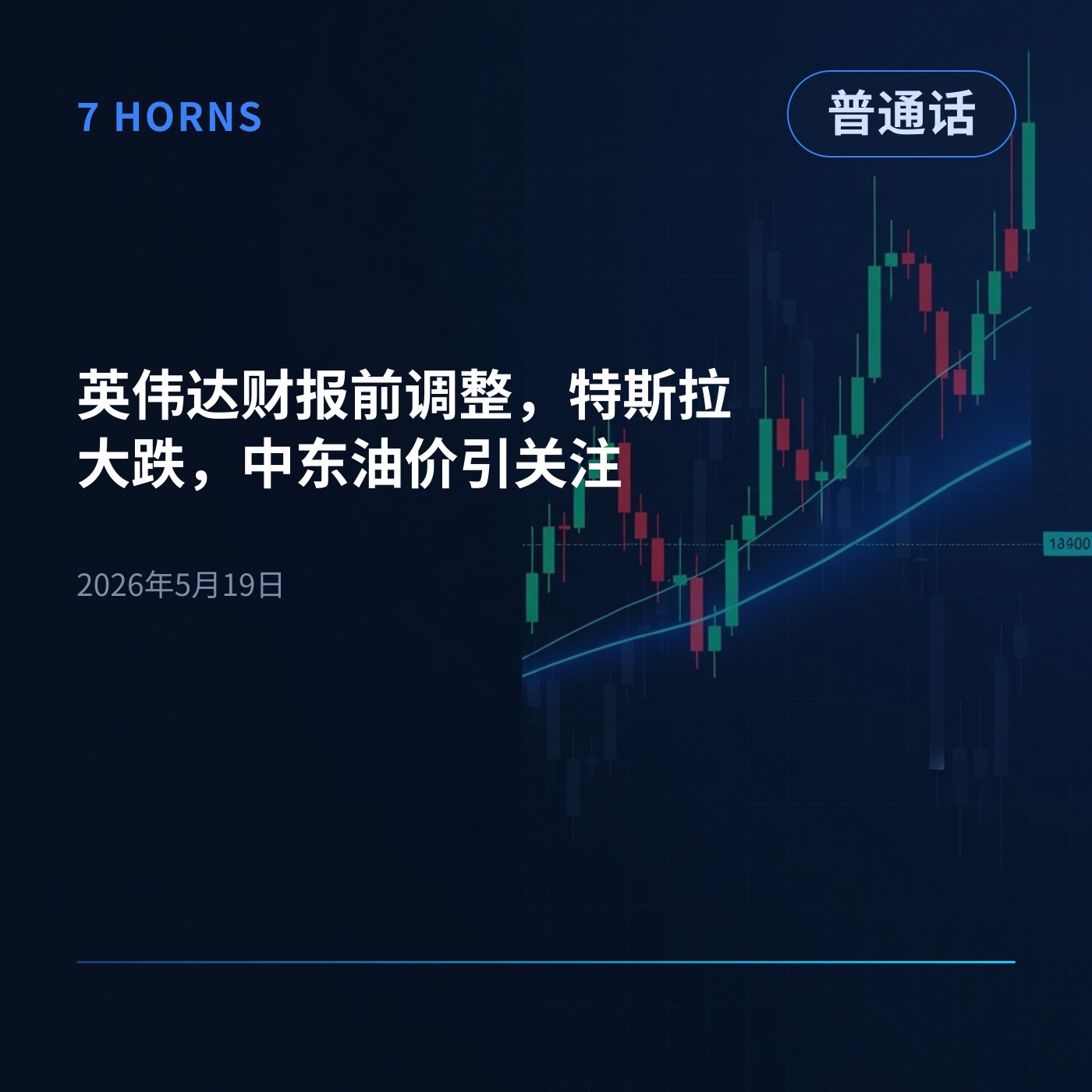 英伟达财报前调整，特斯拉大跌，中东油价引关注 episode artwork
